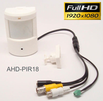 1080p HD Hidden PIR Spy Camera